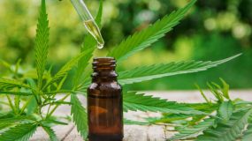Mercado online de cannabis prospera na pandemia