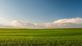 Agroindústria: riscos e benefícios da engenharia genética