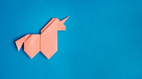 Você saberia dizer as diferenças entre unicórnios e camelos?