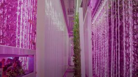 Sustentabilidade: dá para fazer as coisas de maneira diferente