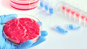 O que falta para comermos mais carne produzida em laboratório?