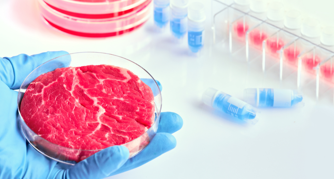 O que falta para comermos mais carne produzida em laboratório?