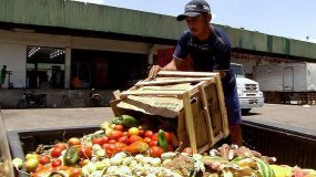 Tecnologia contra a fome e o desperdício