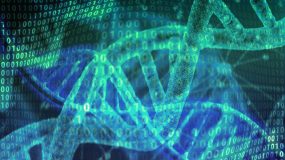 DNA edição genética