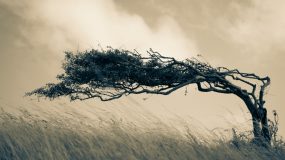 Quantificando o impacto da resiliência