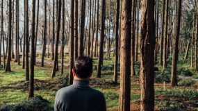 Startups investem no segmento funerário