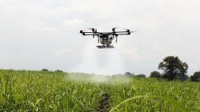 Setores agro e automotivo são prioridades para IA no Brasil