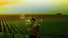 Onde estão e como atuam as agtechs no Brasil
