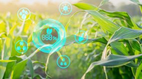 “O Brasil está na vanguarda da transformação tecnológica no campo”