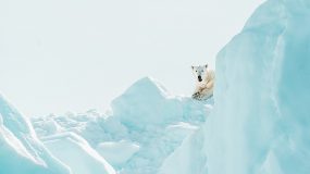 Governança ambiental e IA na medicina serão destaque em 2021