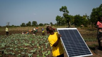 Startups da África têm sinergia com o ecossistema brasileiro