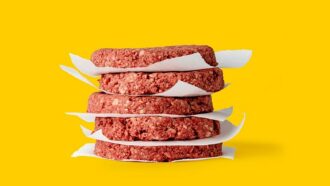 Os desafios da indústria de carne alternativa