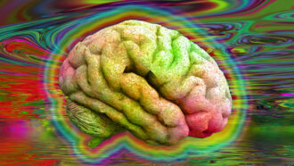 Microdoses psicodélicas e os novos rumos da saúde mental