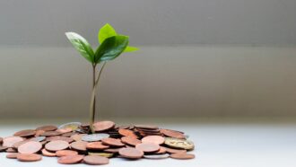 Novos fundos de Venture Capital diversificam opções para startups