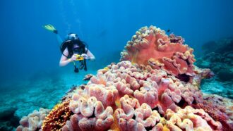 Como o turismo virtual pode reconstruir viagens no mundo pós-pandemia
