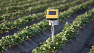 Tecnologia é fundamental para uma agricultura mais sustentável