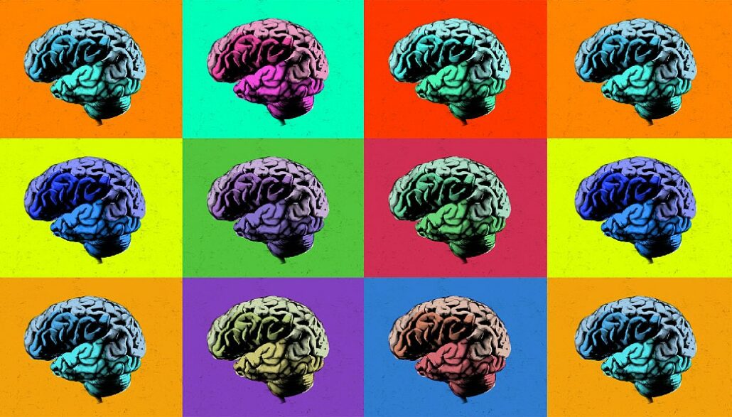 imagem de cérebros coloridos como nas pinturas de Andy Warhol