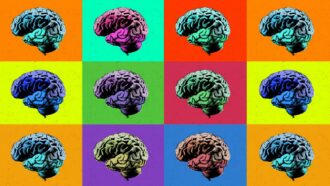 A neurodiversidade pode ser um ponto forte nas empresas