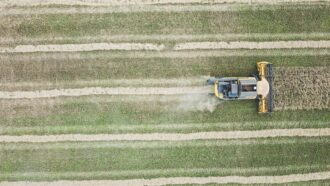 Como as tecnologias digitais auxiliam os agricultores africanos