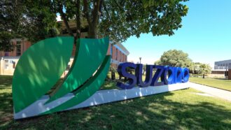A automação inteligente acelera a transformação digital da Suzano