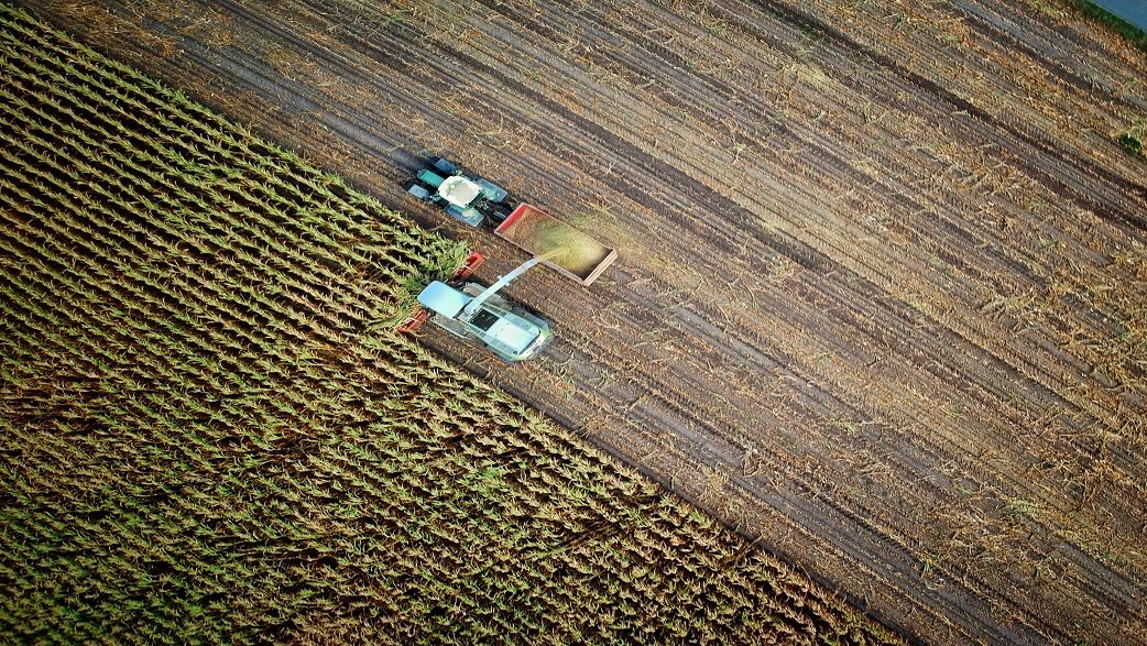 Imagem mostra uma colhedeira em uma área agrícola