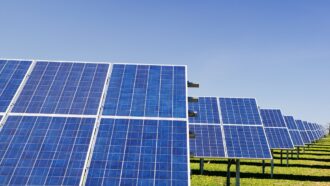Investimento recorde em Climate Tech: mais capital para cuidar da Terra