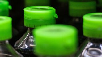garrafas plásticas com tampa verde enfileiradas