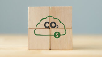 Brasil é fortemente beneficiado pela regulação do novo mercado de carbono