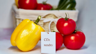 Crescem a rotulagem climática e os produtos carbono neutro