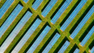 placas fotovoltaicas enfileiradas em meio a uma área verde