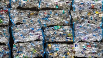 Imagem mostra garrafas plásticas compactadas em embalagens transparentes para serem recicladas