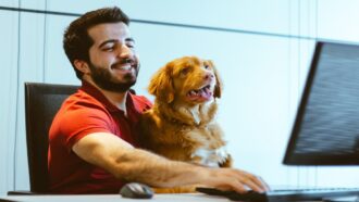 Após regulamentação, startups inovam na telemedicina veterinária