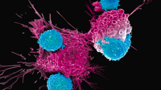 O poder da imuno-oncologia