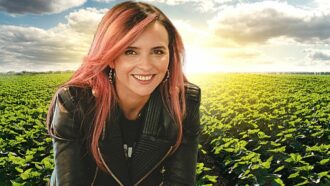 Startup usa a IA para levar grana para o agronegócio brasileiro