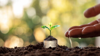 Nosso futuro deve ser agro biosustentável