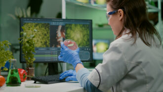 Agrifoodtechs avançam na América Latina
