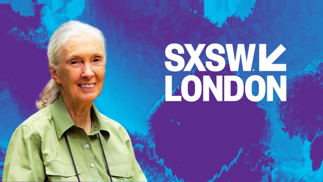 Esperança como código: o manifesto silencioso de Jane Goodall