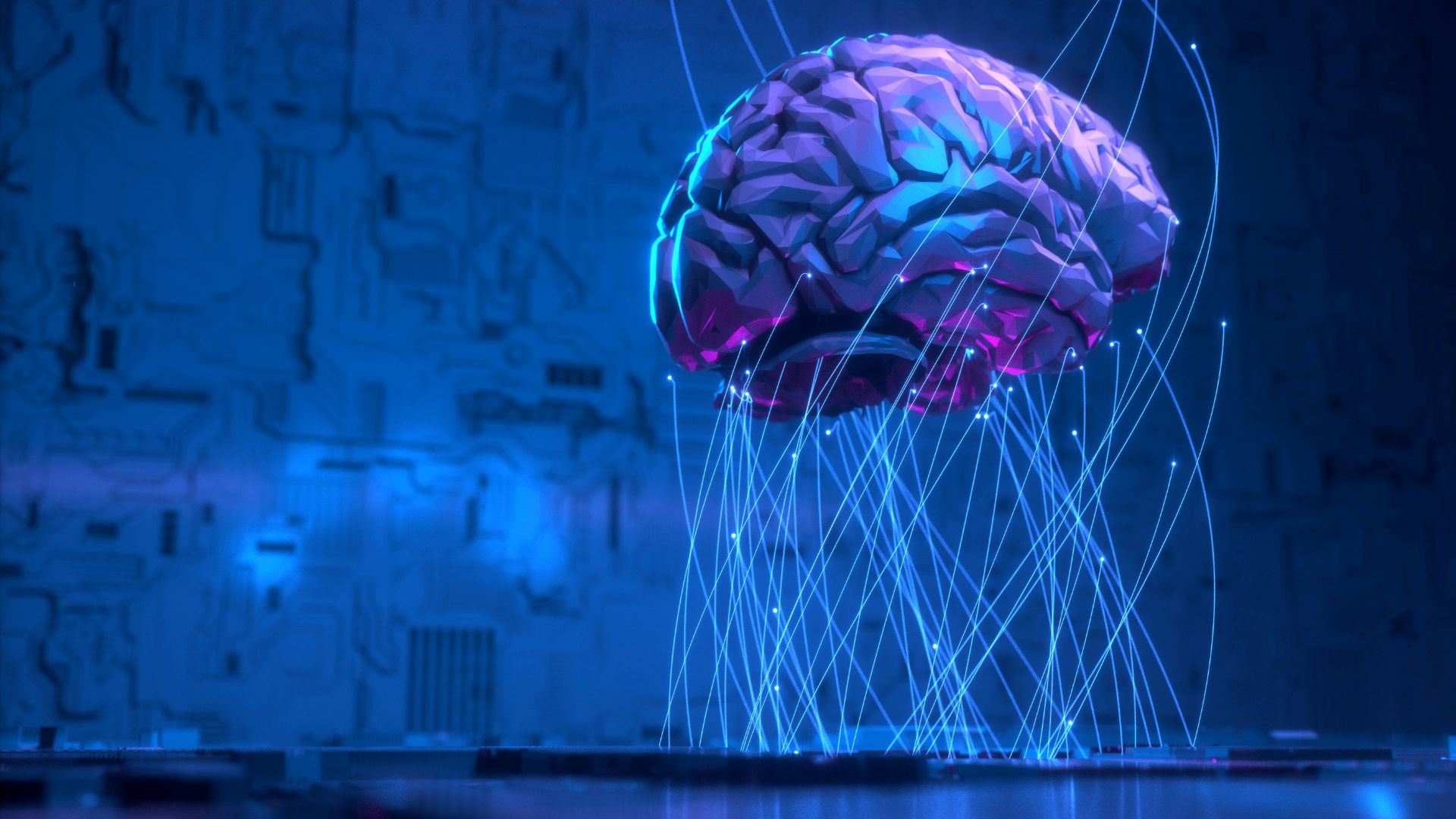 Inteligência barata, infraestrutura cara