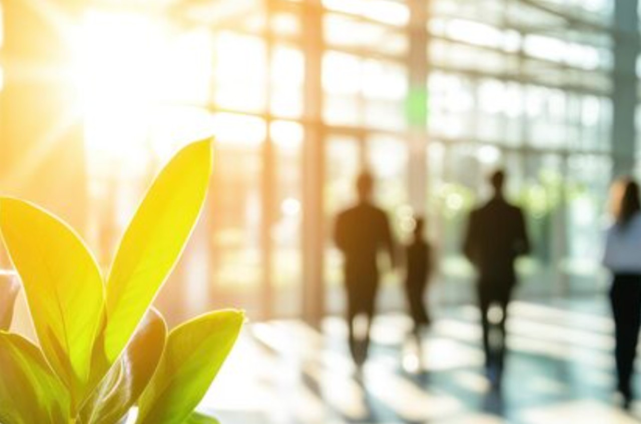 Sustentabilidade corporativa em 2026: dizer menos, fazer mais