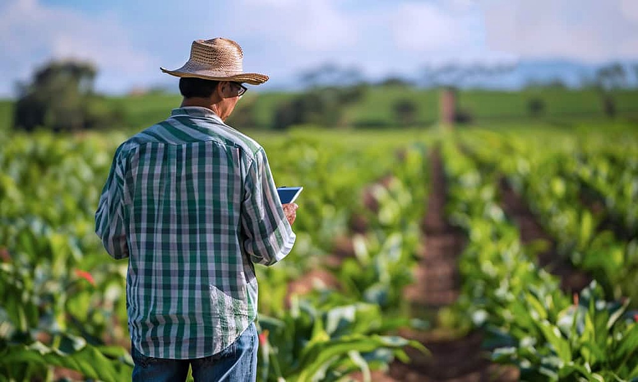 Caixa apertado, IA em ascensão: os sinais do agricultor latino-americano em 2026